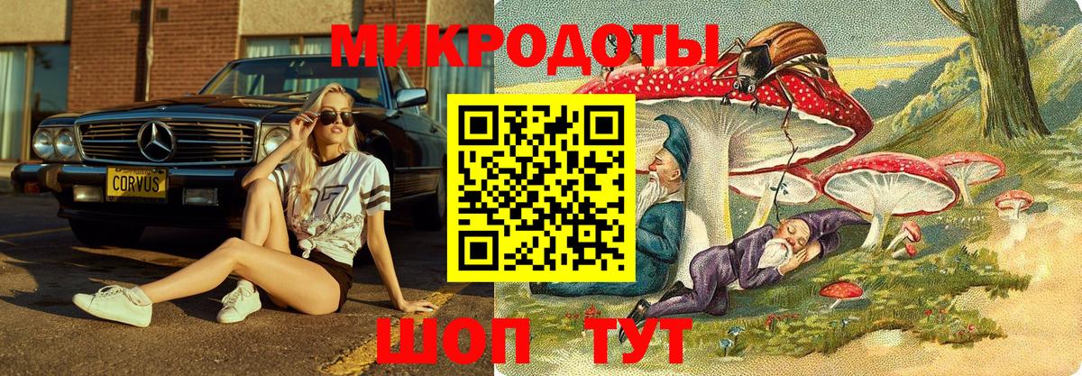 Галлюциногенные грибы прущие грибы Ревда
