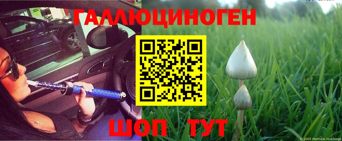 Ревда  где найти наркотики  Вход с VPN  Галлюциногенные грибы Cubensis 